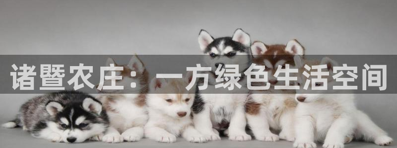 天辰娱乐路线