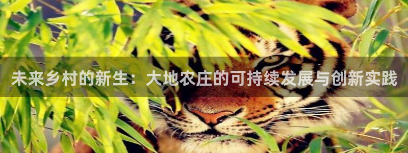 天辰娱乐小姐