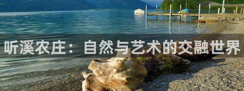 天辰娱乐股票