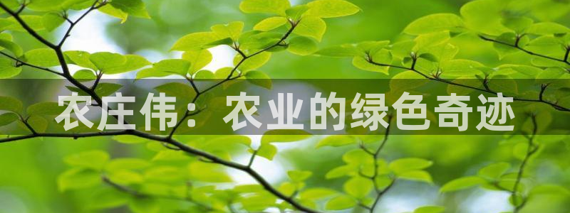天辰娱乐扣钱