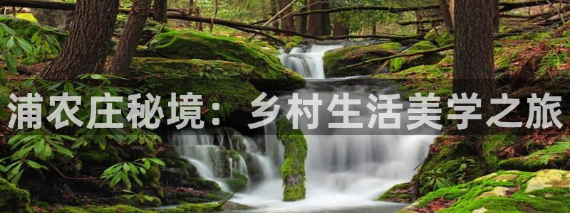 天辰娱乐下载