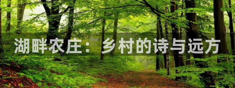 天辰娱乐39974神