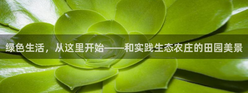 天辰娱乐公司