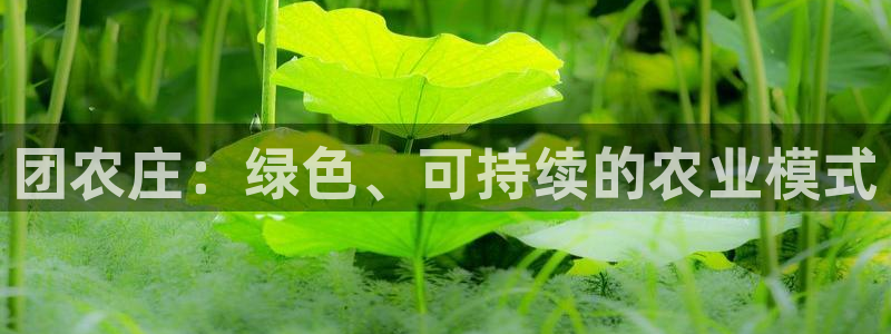 集宁天辰娱乐