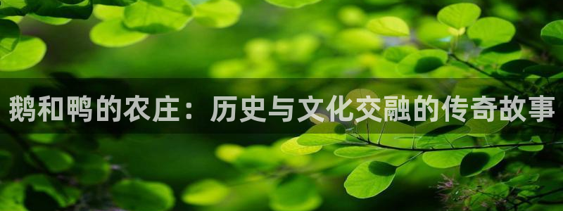 天辰娱乐软件