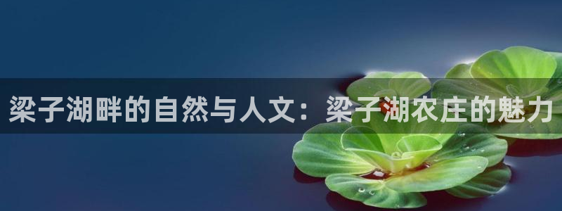 天辰娱乐官