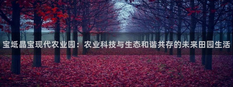 天富娱乐与天辰娱乐