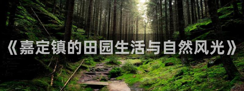 天辰娱乐下载链接