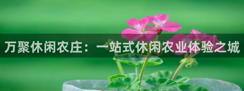 天辰线上娱乐