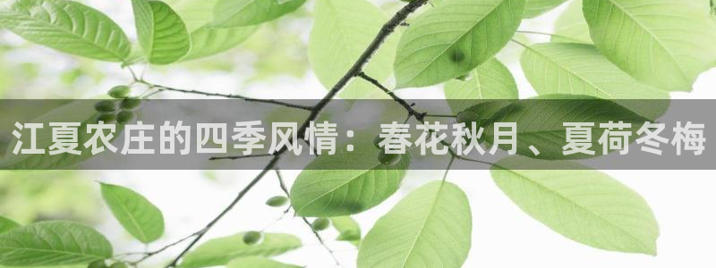 天辰娱乐电话