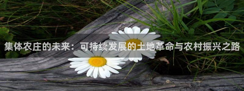 天辰娱乐tff