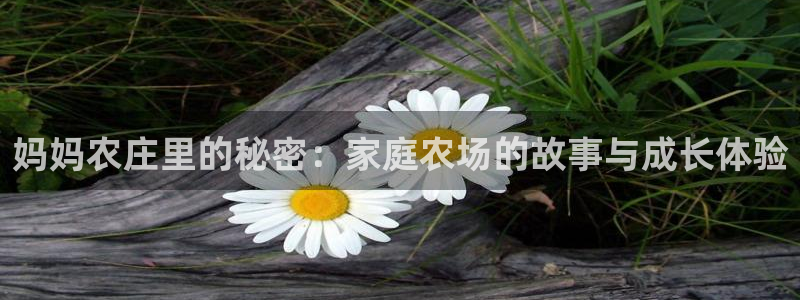 天辰娱乐885544