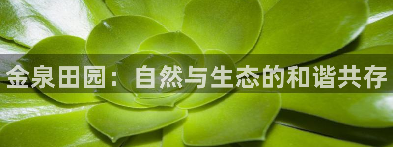 天辰娱乐开户