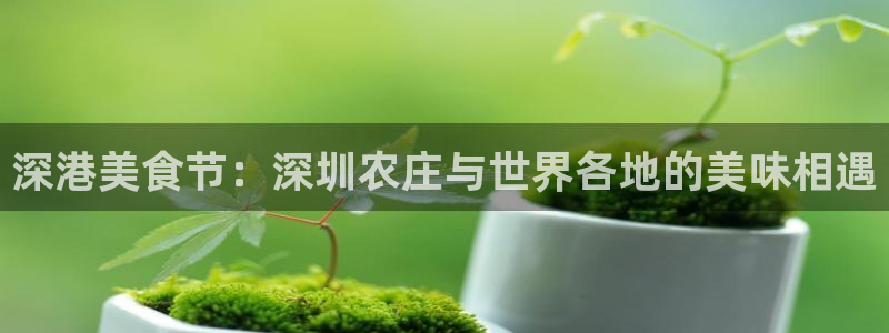 天辰娱乐所