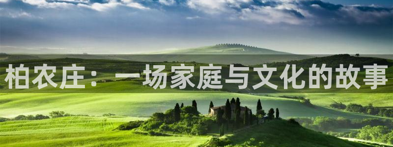 天辰娱乐文化