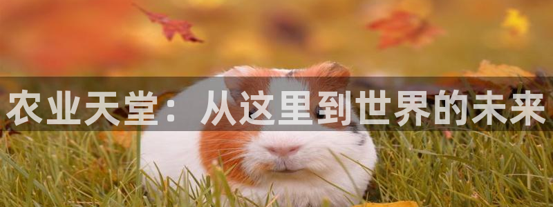 天辰娱乐海洋