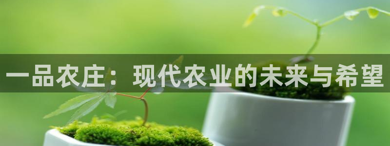 天辰娱乐所