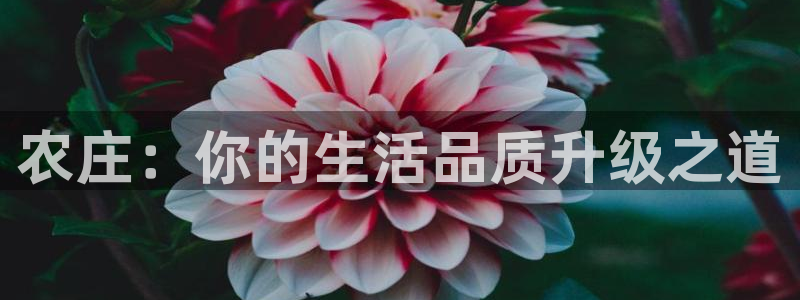 天辰娱乐84566