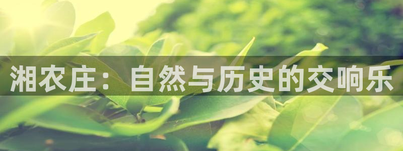 天辰娱乐首选