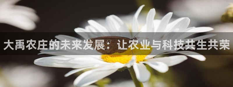 天辰娱乐厕所
