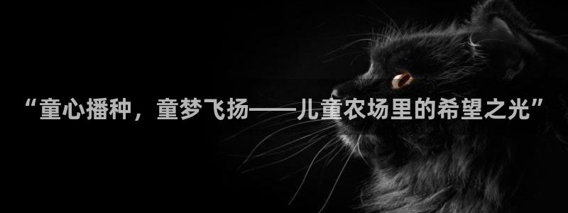 天辰平台娱乐