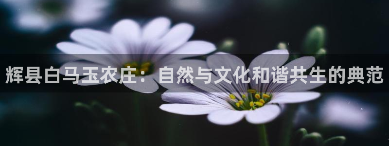 天辰娱乐appxi