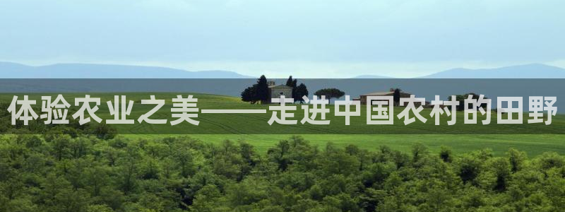 天辰娱乐所