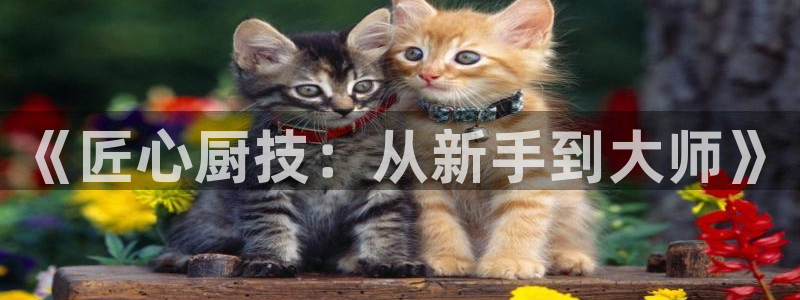 天辰2娱乐