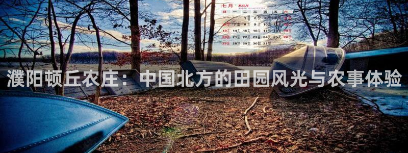天辰娱乐软件