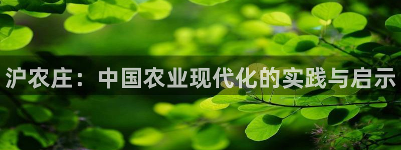 天辰娱乐小妹