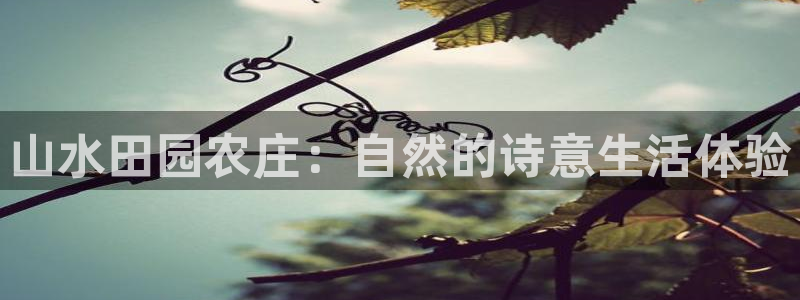 天辰娱乐国际