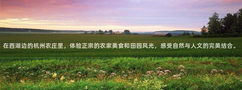 天辰娱乐51137