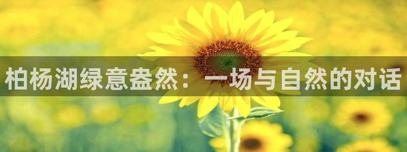 天辰娱乐小妹