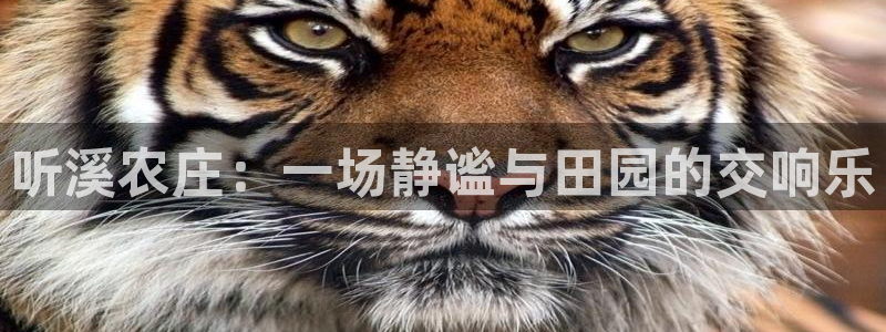 天辰娱乐平台app下载