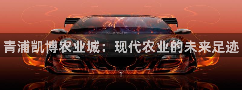 天辰娱乐2