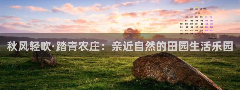 天辰娱乐白屏