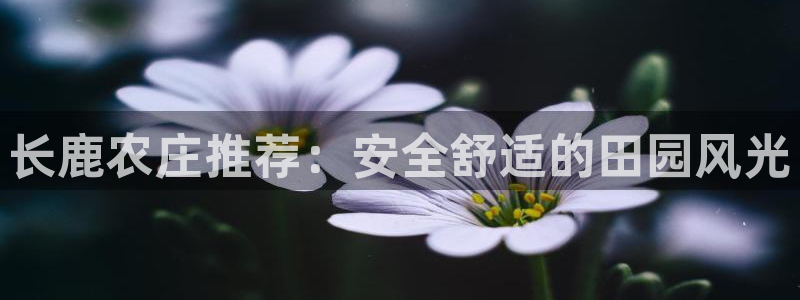 天辰娱乐 231639