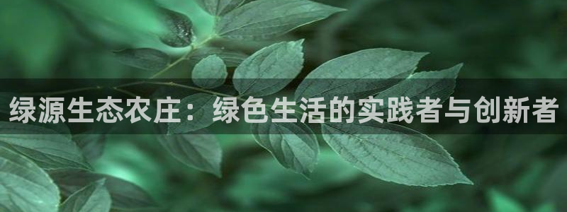 集宁天辰娱乐