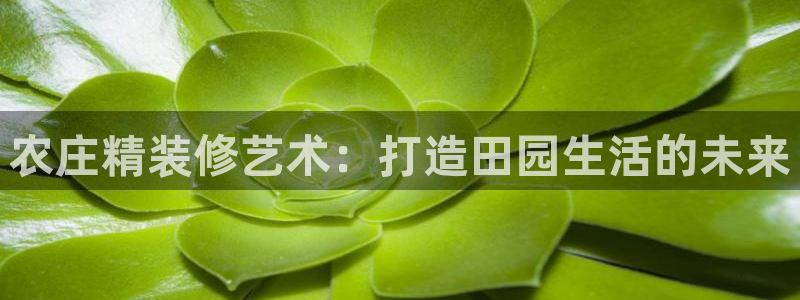 天辰娱乐总管
