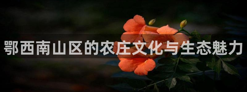 天辰娱乐39596