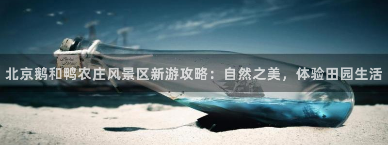 天辰团队贝高娱乐
