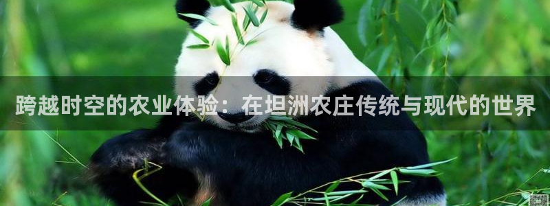 天富天辰娱乐