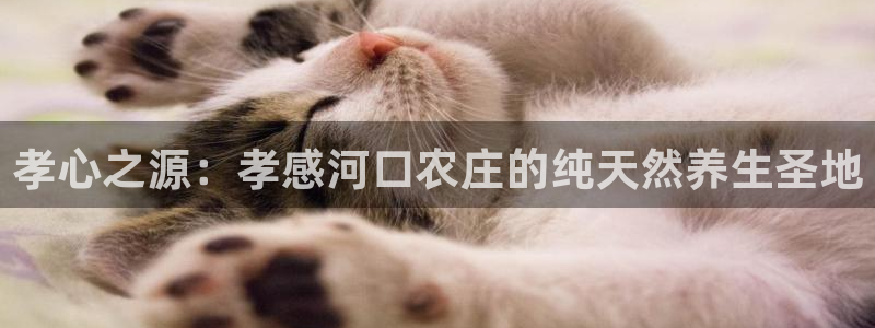 天辰娱乐下载