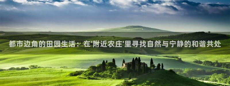 天辰娱乐平台地址在哪里