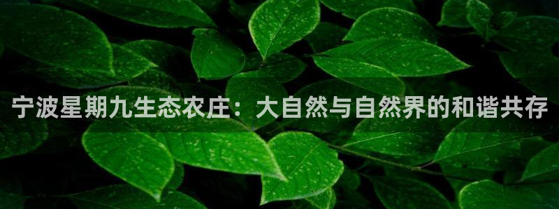 天辰娱乐国际