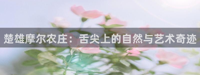 天辰娱乐best