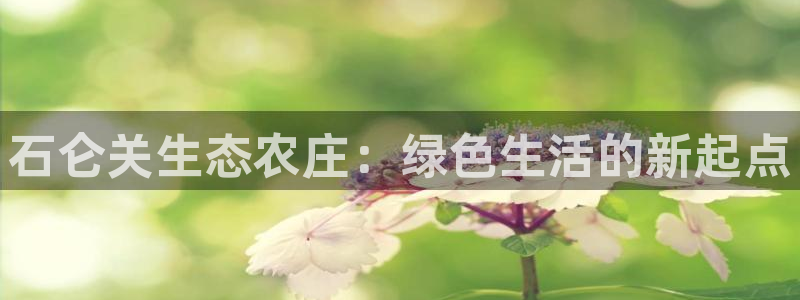 天辰娱乐好吗