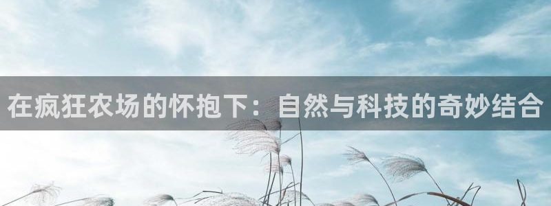 天辰娱乐国际