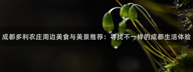 天辰娱乐网址娱乐游戏
