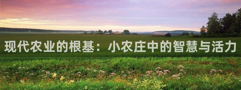 天辰娱乐平台